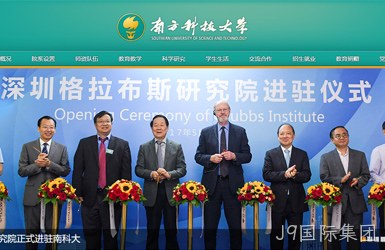 点击查看