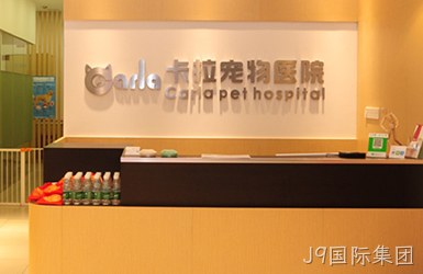 卡拉宠物案例图片