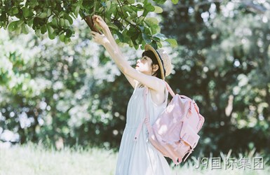 都乐甜甜圈案例图片