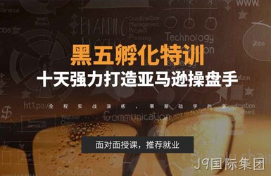点击查看黑五学院案例