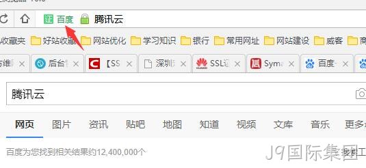 HTTPS 公司名显示2