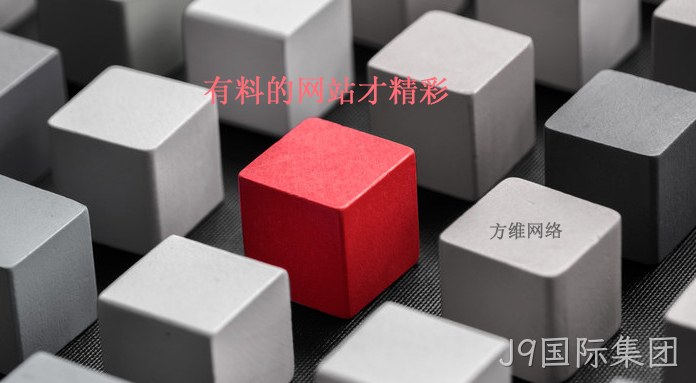 有料的网站才精彩
