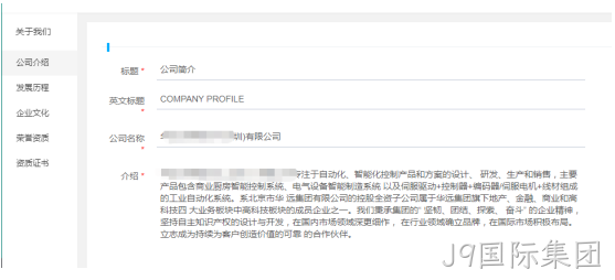 企业网站开发