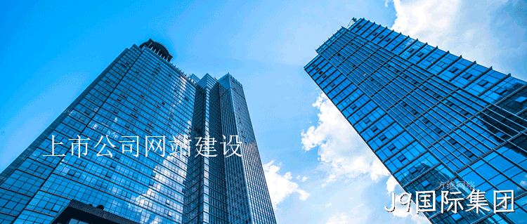 上市公司网站建设