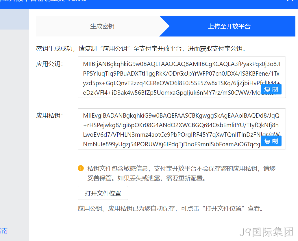 生成的应用公钥