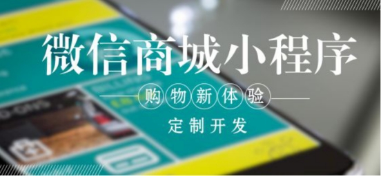 定制开发