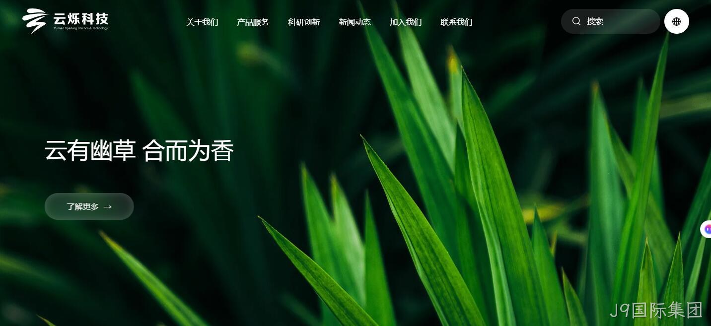 云南网站建设公司