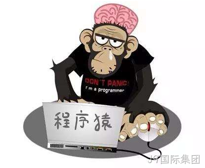 网站程序员