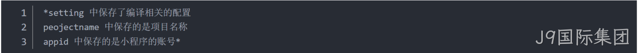 JSON 配置文件
