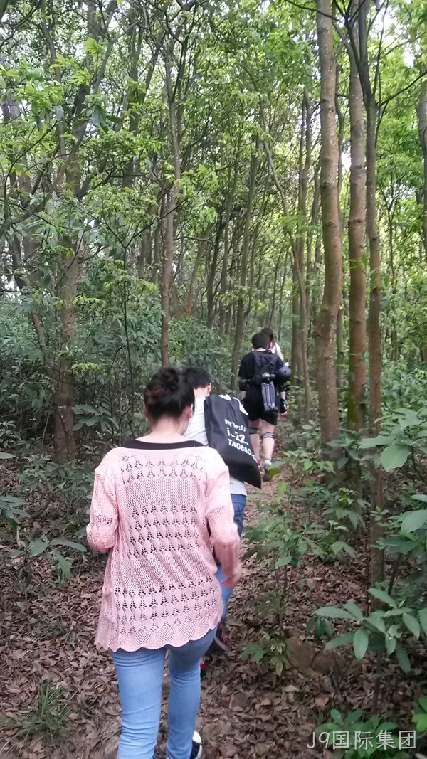J9国际集团仙湖行