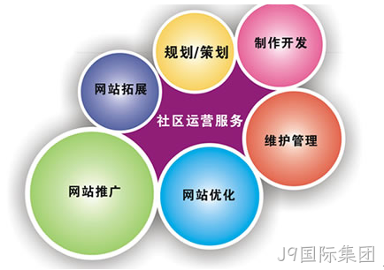 网站开发