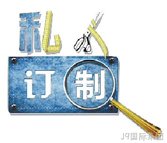 定制网站