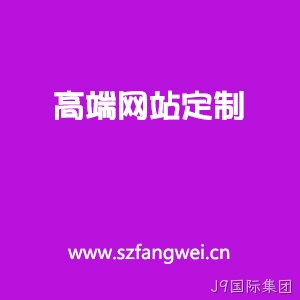 高端定制网站
