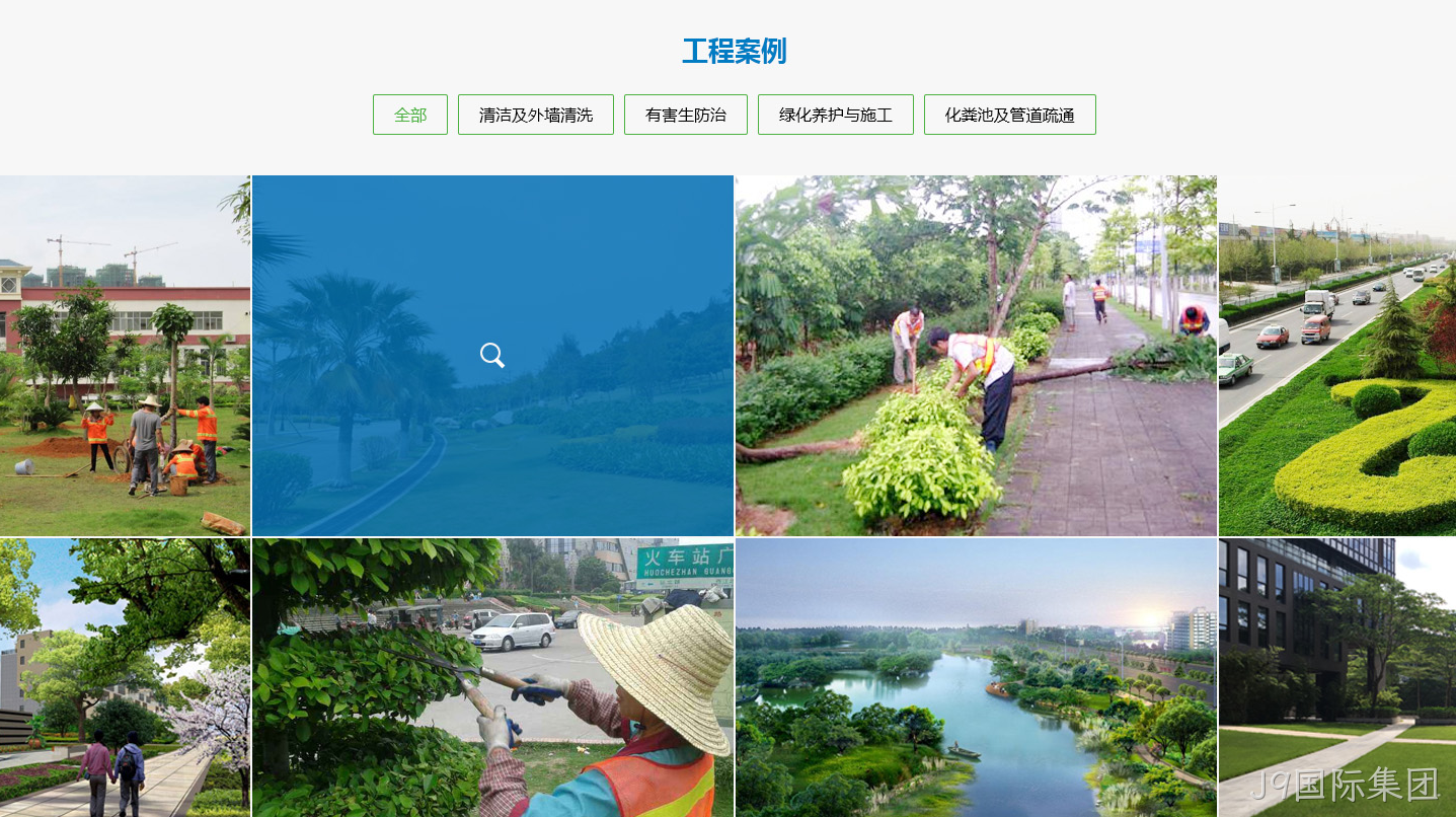 网站案例